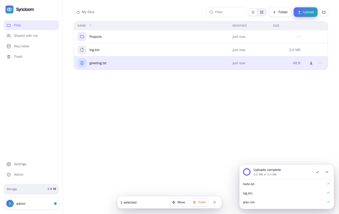 The Syncloom web app showing a folder with files